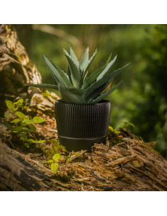 Donica Upside Lines Black...