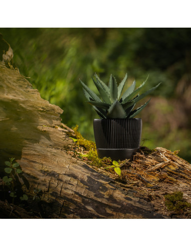 Donica Upside Lines Black Matt Poli...