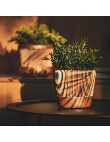 Donica Upside Lines Rose Gold Poli...